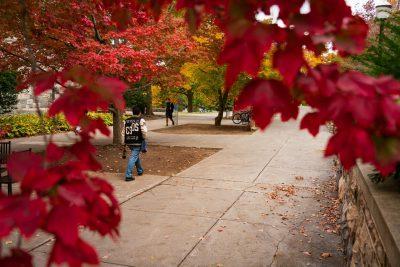 一个人走在一条小路上，校园里的树叶正在变色